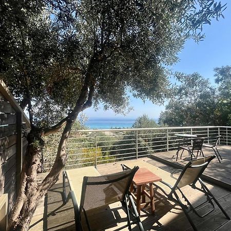 The Beach House - Apartments & Studios (Adults Only) Afytos Eksteriør billede